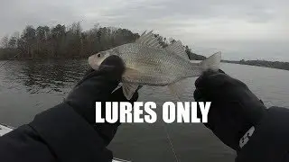 Winter White Perch Fishing