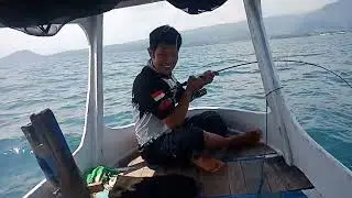 Anglernya panik seperti strike buaya, ternyata ikan idaman yg landed