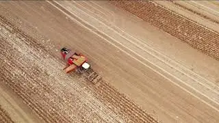 Ploughing & Harvest I Lexion 8900| Case IH Quadtrac 620| 12 F Lemken Vari-Titan | MJ&SC Collins