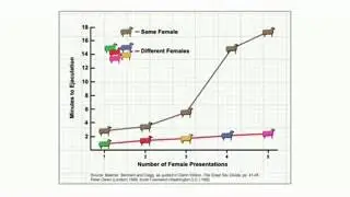 Men and Women - The Coolidge Effect