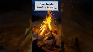 Mesmerizing Moments: Bonfire by the Sea 🌊🔥| #shorts  #shortvideo #viral #bonfire