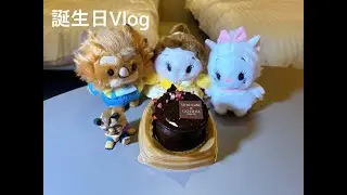 【ぴよ丸】2025年2月に三井ガーデンホテルプラナ東京ベイに泊まってきた！誕生日🎂【お出かけ】