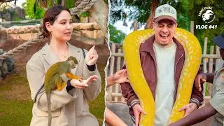 ACE Family&rsquo;s Unforgettable Dubai Adventure at Fame Park! 🇦🇪