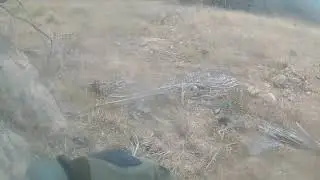 Paintball Real Action Ducks em a&ccedil;&atilde;o 