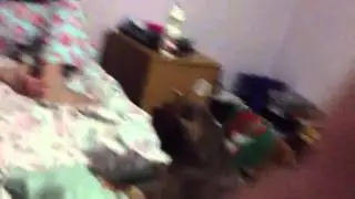 Evil Elvis | Jasmine maffesoni