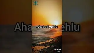 louizini tassarut