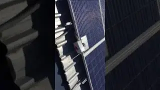 Solar defects port Macquarie 2 solar