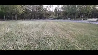 WHIPPING WIND 50 MPH GUST