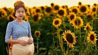 Sunflower#creator#template#capcut#sunflower