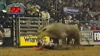 Blueberry Wine bucks Adam Carrillo - 04 PBR Albuquerque