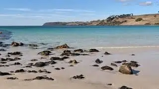 The Best Beach in Tasmania BOAT HARBOUR BEACH