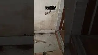 Goodliving Pest Control #delhi NCR #anti-termite treatment for a wall termites chemical barrier envu