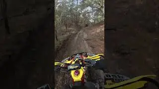 #podjazd #atv #ltr #las #jazda