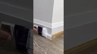Вы только что установили плинтусы &mdash; ЧТО ДАЛЬШЕ?!