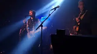 Customs -  Rex -  Live  2025 - Merleyn Nijmegen Nederland