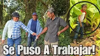 Vean A Toda La Familia De Don Victor Trabajando😱