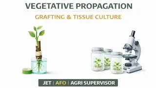 Vegetative Propagation – Grafting & Tissue Culture | Horticulture | JET | AFO | Agri Supervisor