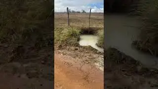 Chuva caiu o clima j&aacute; mudou no Agreste alagoano#nordeste #agro #amor #sitio #viraliza #vidanaro&ccedil;a