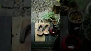 silent snaps
