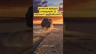 யாரும் தள்ளாமல் தானாக நகரும் பாறைகள்! 😱 எப்படிச் சாத்தியம்? | Sailing Stones Mystery | WOW Tamil