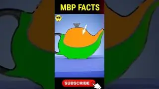 assessing teapot #trending #shortvideo #animals #facts #ytshort #tea