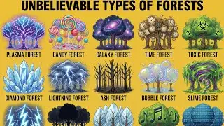 Types of Forests You Won&rsquo;t Believe Exist | Strange & Fantasy Forests Explained