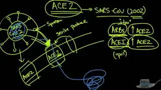 Coronavirus Pandemic Update 37- The ACE-2 Receptor - The Doorway to COVID-19 (ACE Inhibitors & ARBs)