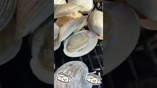 Big cherry stone clams BBQ #cooking #shorts