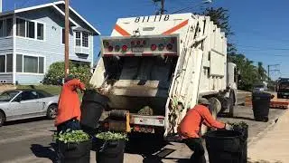 San Diego Automated and Manual Green Waste Collection