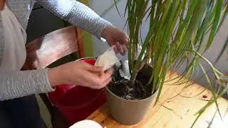 Life Hack #76: Selbstbew&auml;sserungssystem f&uuml;r Topfpflanzen
