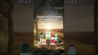 Safeguard Your Crops with Bharat Certis' Insecticide Solutions!