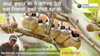 Aao Kudrat Ka krishma dekhein, a song on birding by Social Substance