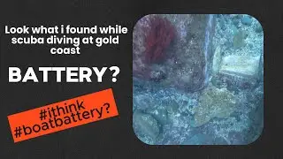 Look what I found diving in Gold Coast Australia 