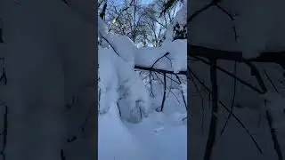 Snow in Wisconsin 2022#youtube #snowstorm#fyp #l