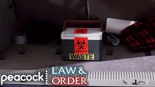 Driving With a Virus - Law & Order