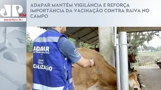 ADAPAR MANT&Eacute;M VIGIL&Acirc;NCIA E REFOR&Ccedil;A IMPORT&Acirc;NCIA DA VACINA&Ccedil;&Atilde;O CONTRA RAIVA NO CAMPO