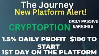 CRYPTOPTION DAILY PASSIVE EARNINGS REVIEW