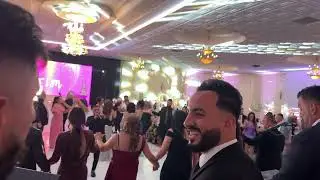 شيخاني نائل نيسو و مارتن كورو حفلات 2025