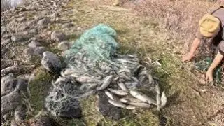 the fish didn't fit in the net