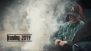 Branding 2019