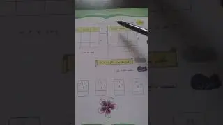 الضرب دون حمل رياضيات الصف الرابع الفصل السادس الدرس الأول