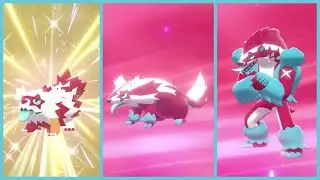 Shiny Zigzagoon Hatch After 440 Eggs - Shiny Linoone/Obstagoon Showcase - Pokemon Sword and Shield