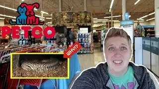 WHY DOES PETCO SELL THESE? | Petco Vlog