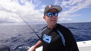 OIFC TV - Mahi