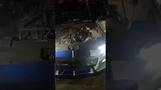 Mustang 5.0 procharger