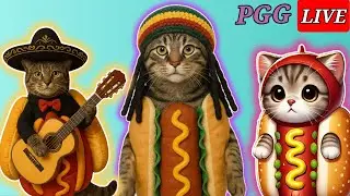 PGG LIVE 82 l Hot dog cat