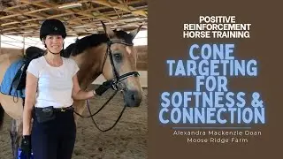 Positive Reinforcement Horse Training | Cone Targeting Exercise for Softness and Connection