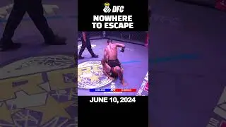 NOWHERE TO ESCAPE #dynastyfightclub #pinoy #mma #highlight #viral #sports #boxing #urcc