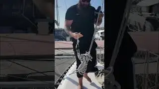 Boat Upgrade: Searching for the PERFECT Code 0 Sail! #shorts