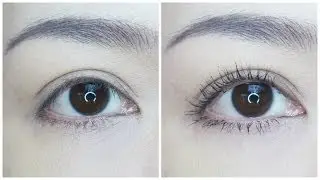 Long Defined Lashes - Jasmine Tam
